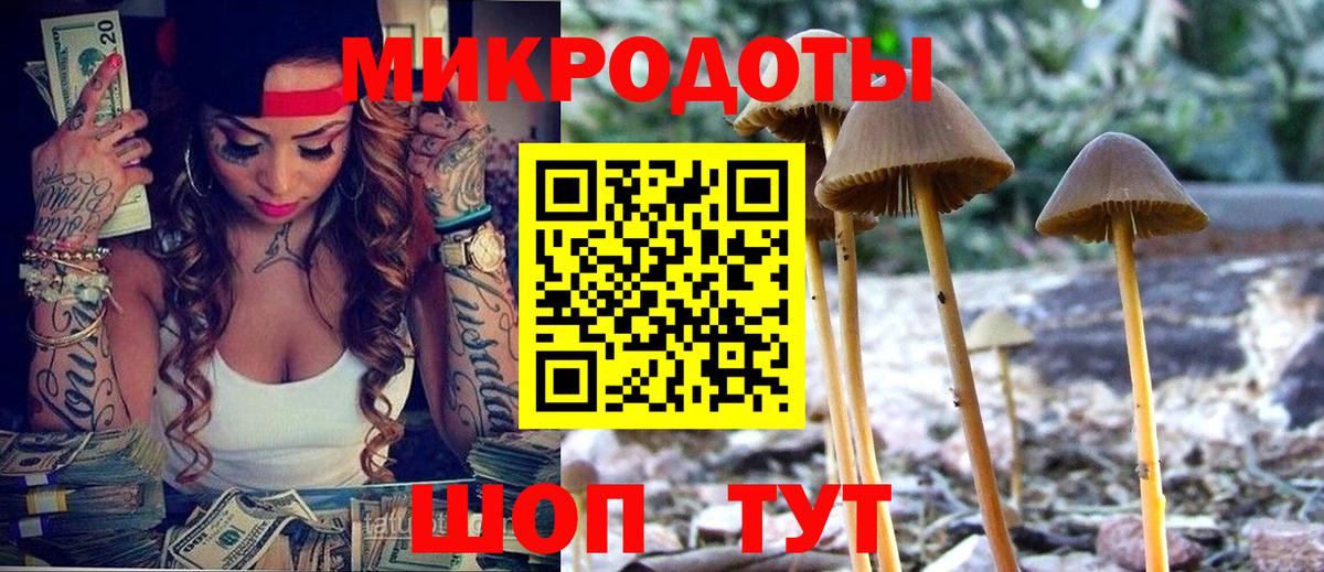 Коряжма  Псилоцибиновые грибы GOLDEN TEACHER  Галлюциногенные грибы Cubensis  Вход с VPN 